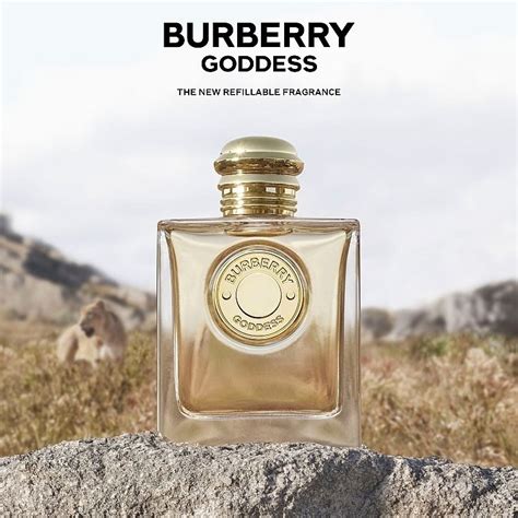 parfum burberry goddes|Burberry goddess perfume 3.3 oz.